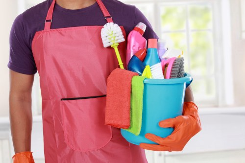 Professional carpet cleaning in an Ardleigh Green home living room