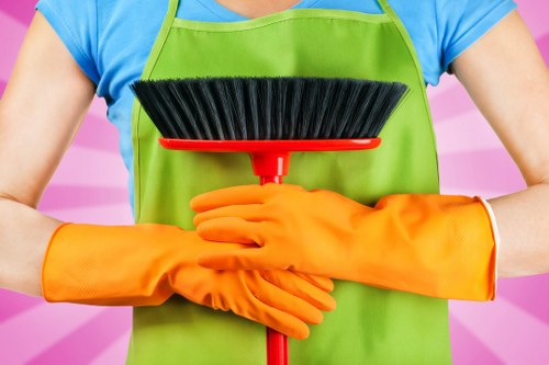 Upholstery stain cleaning in an Ardleigh Green home