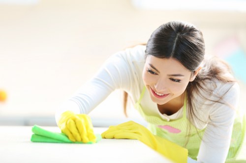 Deep mattress cleaning equipment removing dust and stains