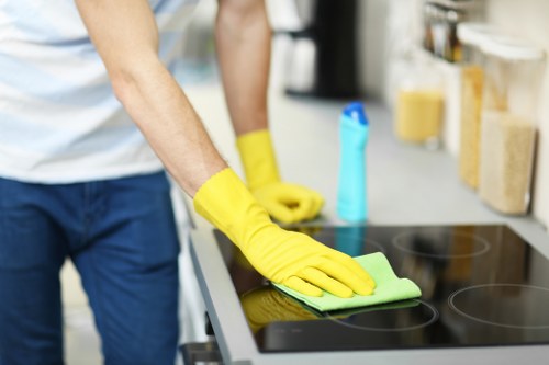 Deep cleaning carpet fibres for pet odour removal in Ardleigh Green